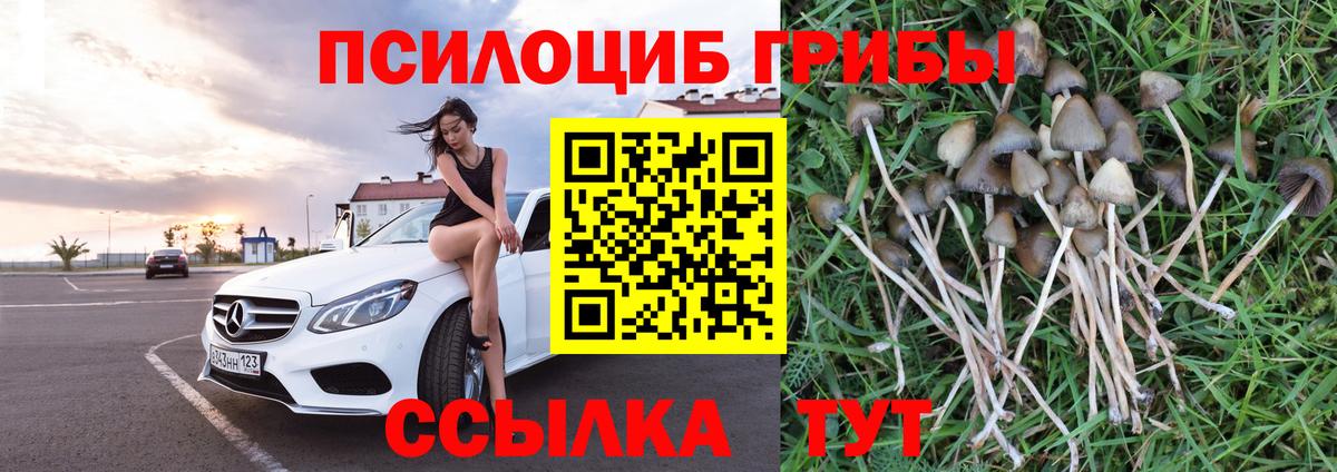 Галлюциногенные грибы MAGIC MUSHROOMS  Вход с VPN  Шелехов 