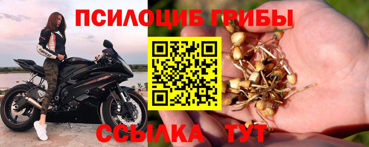 Псилоцибиновые грибы MAGIC MUSHROOMS Шелехов